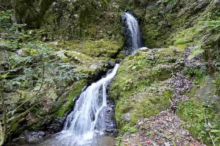 �t������